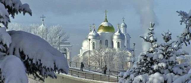 Более 30 мест посадки в Великом Новгороде